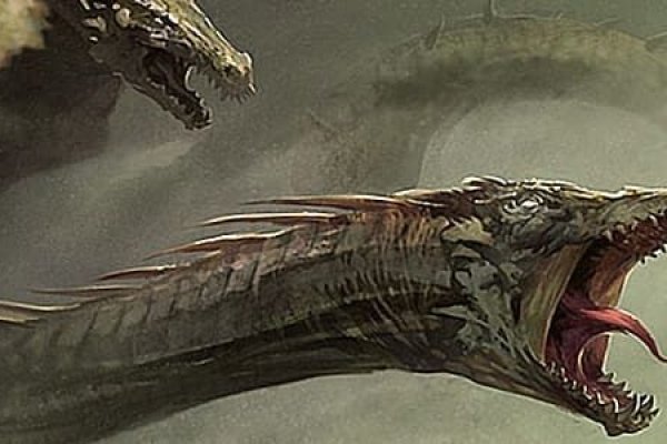 Kraken даркнет что это