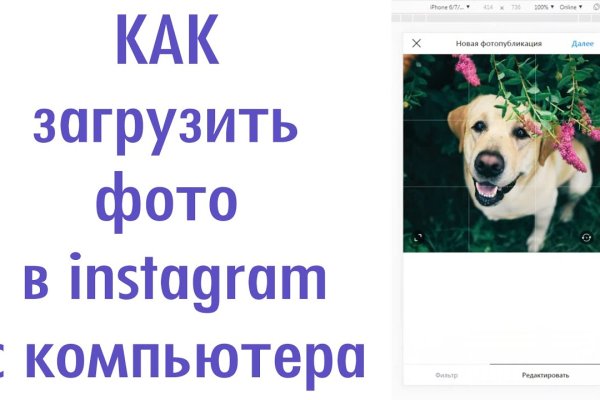 Кракен сайт как выглядит
